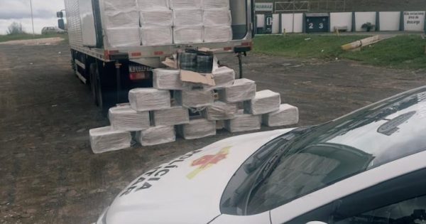 Polícia Rodoviária apreende 1,5 tonelada de maconha no interior de São Paulo