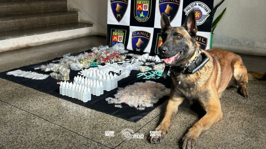 BAEP apreende grande quantidade de entorpecentes em Carapicuíba